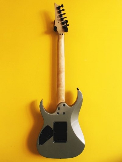 Ibanez RG220B